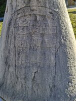 Écu de la famille des Angeville.