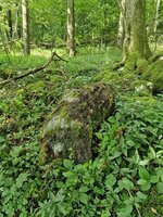 Prairie des fourneaux, au-dessus de la zone de charbonnage.