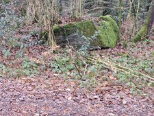 Champ Civet, la Sure en Chartreuse, Isère.