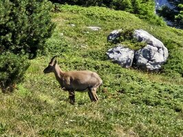 Une étagne au sommet du Truc.