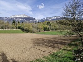 Riante campagne agricole.
