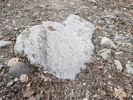 Une des multiples traces de chariots.