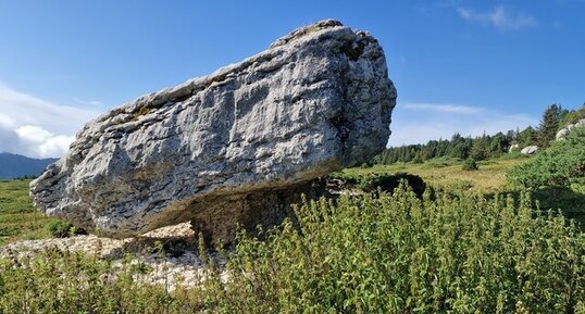 Bloc du Pinet.