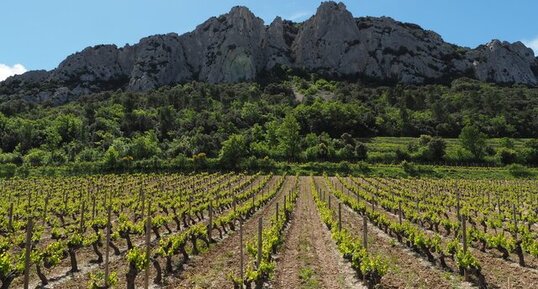 Les dentelles de Montmirail