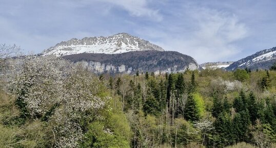 Le plateau du Grand-Ratz, la Buisse, Isère.