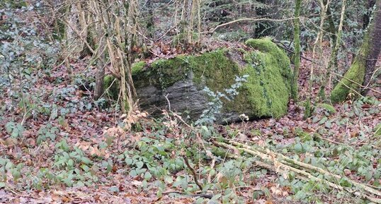 Champ Civet, la Sure en Chartreuse, Isère.