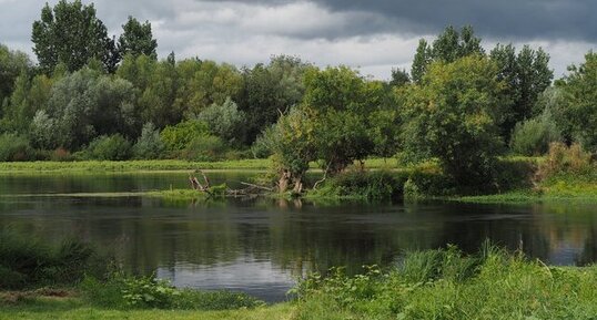 Bords de Vienne