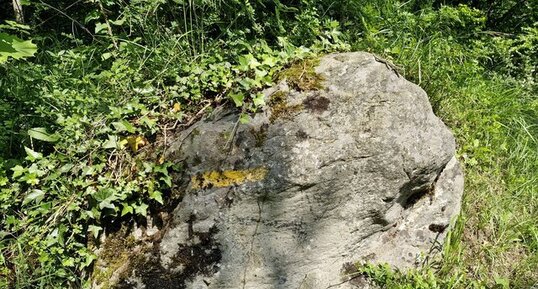 Rocher de Côte Curt, Saint-Laurent-du-Pont Isère.