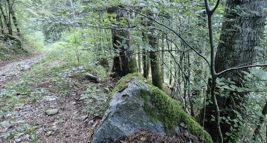 Au-dessus du Pont des Allemands, Chartreuse.