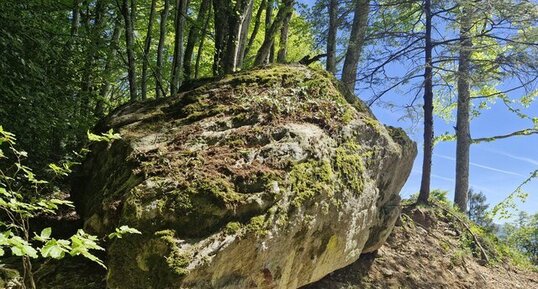 crête morainique, Saint-Aupre/Merlas, Isère.